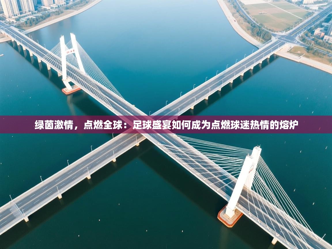 绿茵激情,点燃全球:足球盛宴如何成为点燃球迷热情的熔炉 第1张