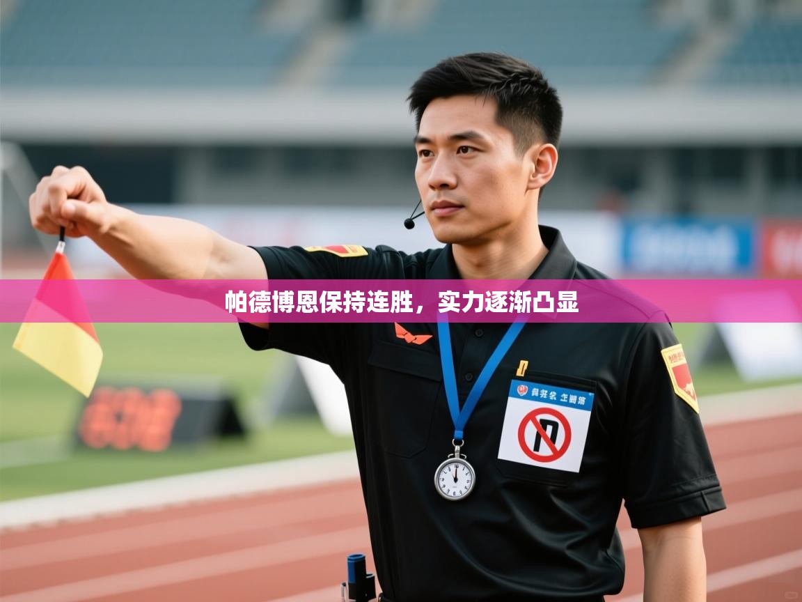 帕德博恩保持连胜,实力逐渐凸显 第2张